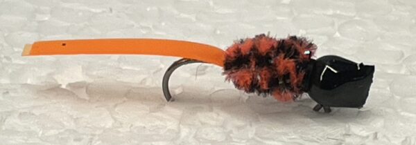 Freddy Maddox Tail