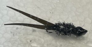 Midnight Split Tail