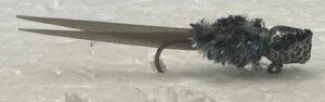 Char Shad Split Tail