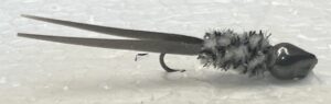 Osage Split Tail